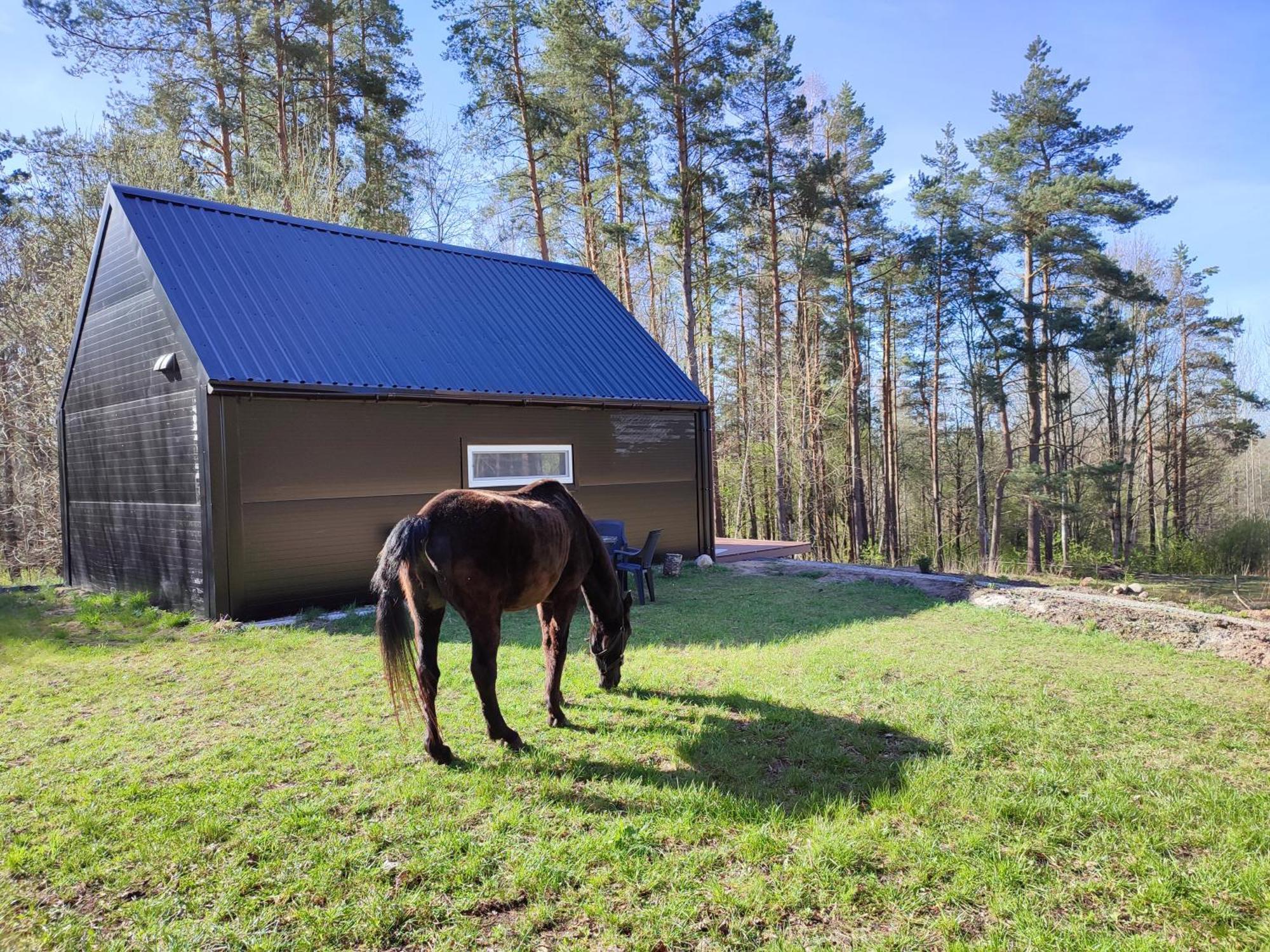 Modern Sauna Cabin In Horse Ranch Liyeplauke Buitenkant foto