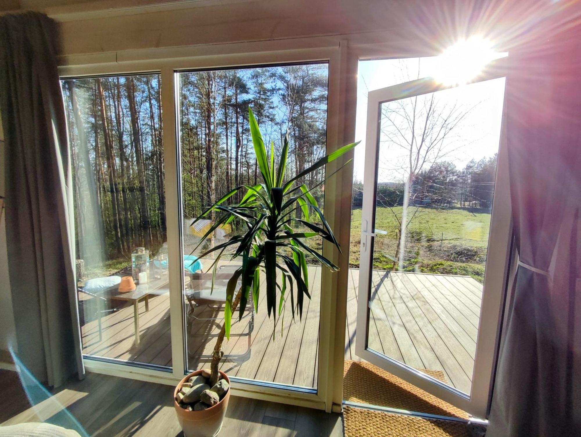Modern Sauna Cabin In Horse Ranch Liyeplauke Buitenkant foto
